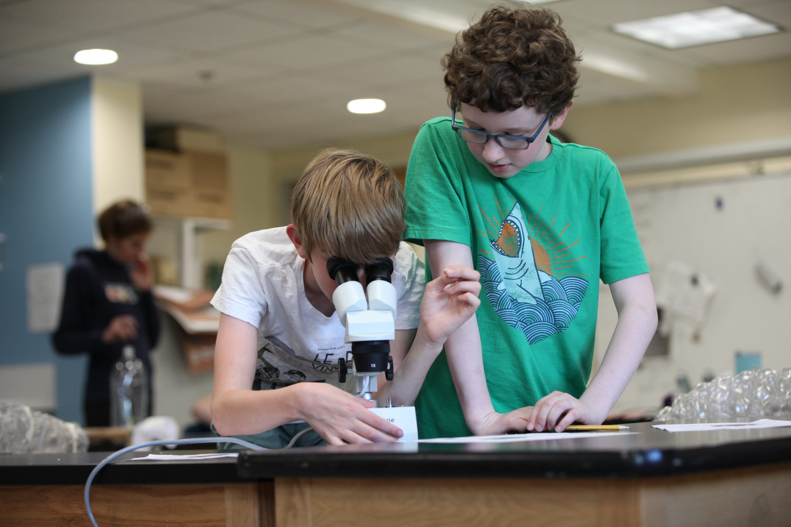 Middle school students work together during a science lab at Cambridge Friends School
